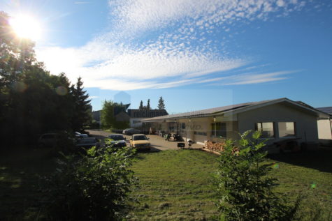 Wohnen, Arbeiten und Vermieten – vielseitiges Ensemble mit Wohnhaus, Werkhalle und Photovoltaik in Hüfingen!, 78183 Hüfingen, Haus